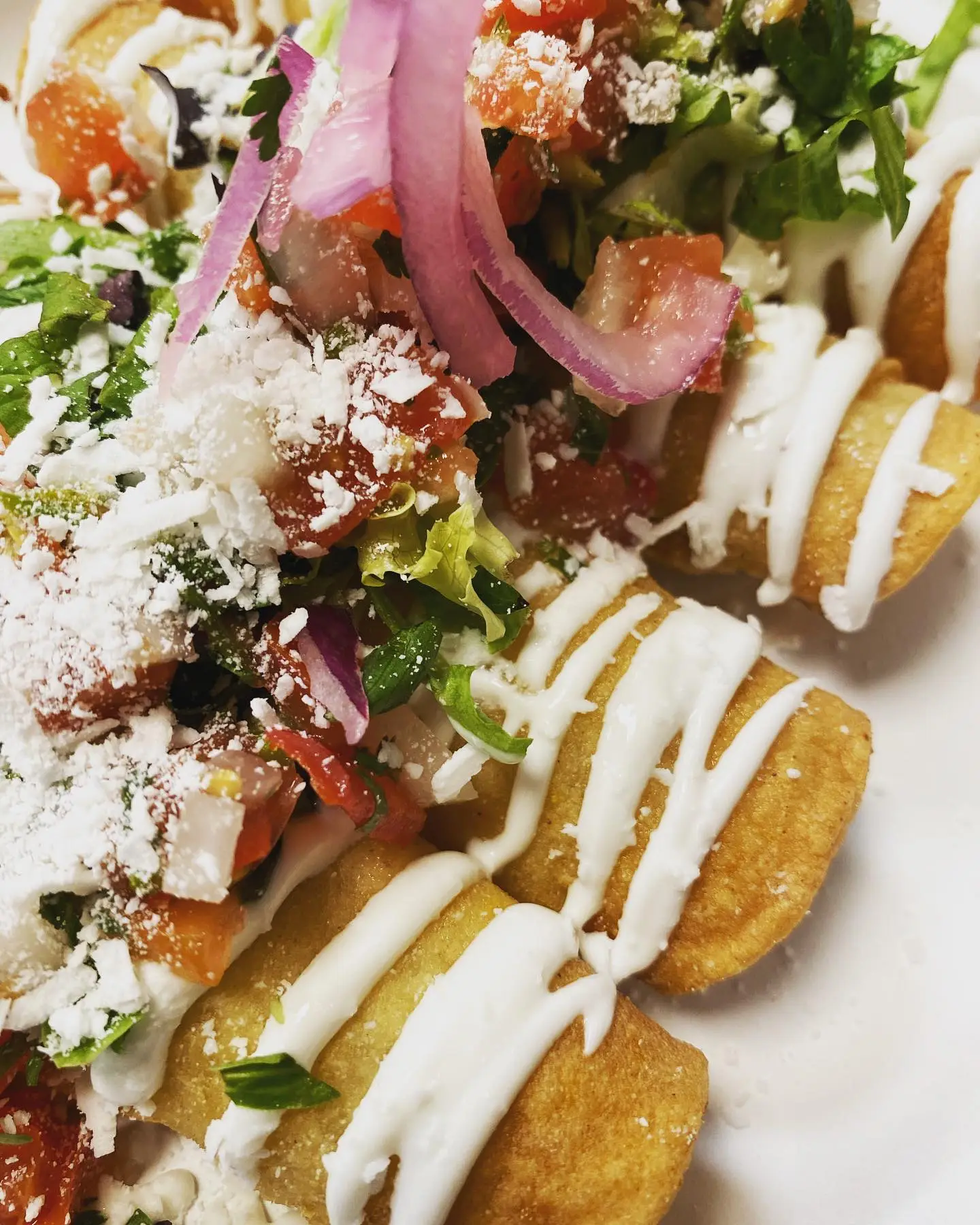 Carnitas tacos at PiKanté south Edmonton